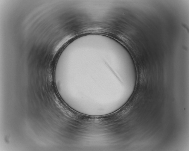 X0000099571458200806131246