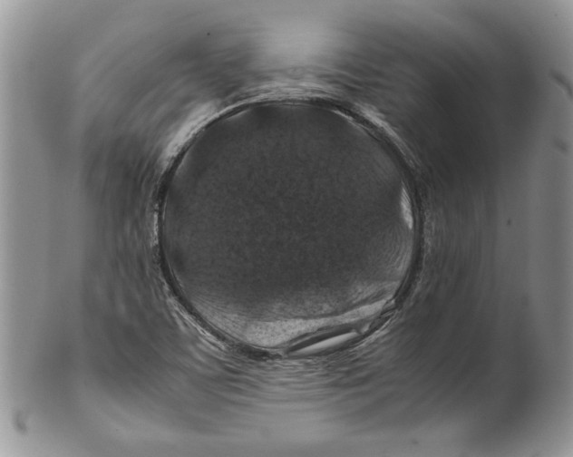 X0000099571459200806131246