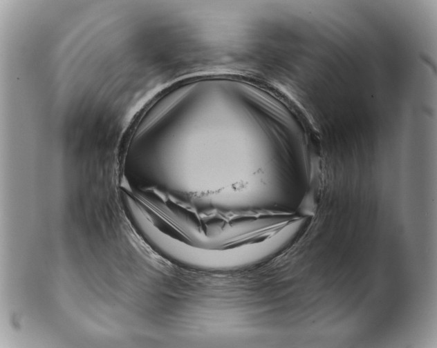 X0000099571460200806131246