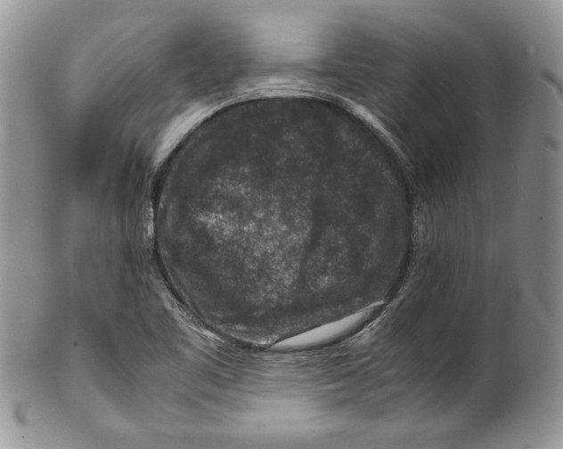 X0000099571461200806131246