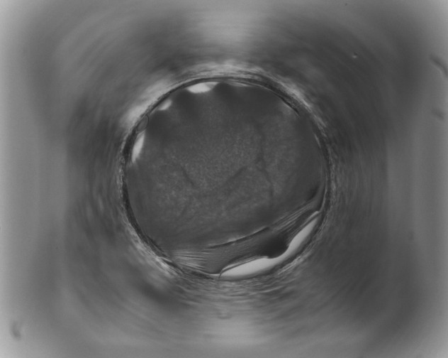 X0000099571463200806131245