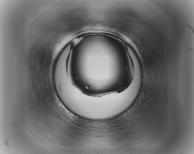 X0000099571464200806131245