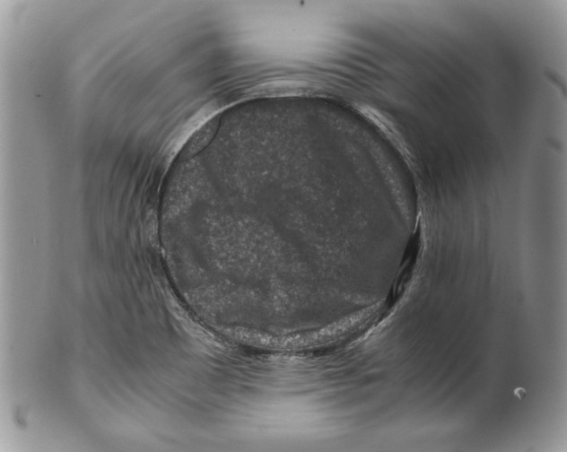 X0000099571465200806131245