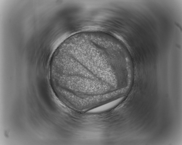 X0000099571467200806131245