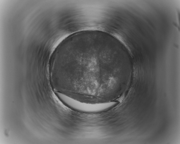 X0000099571468200806131245