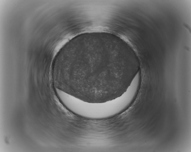 X0000099571469200806131245