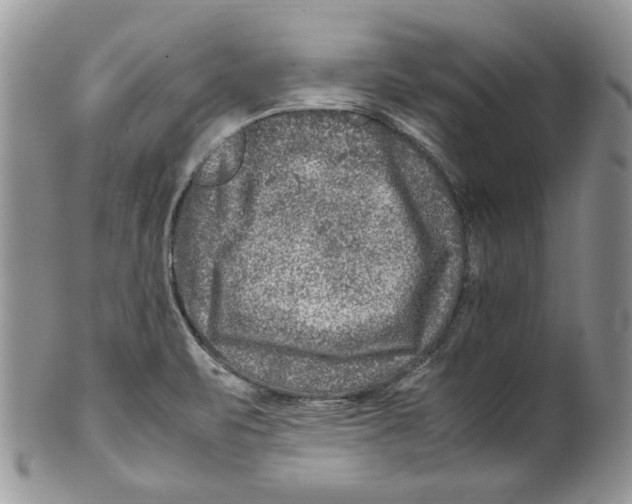 X0000099571471200806131245