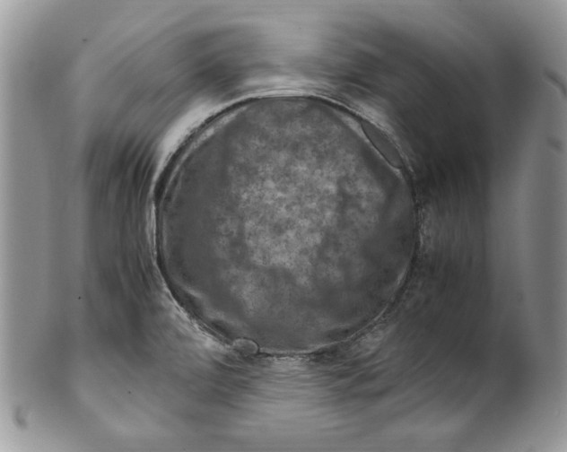 X0000099571472200806131245