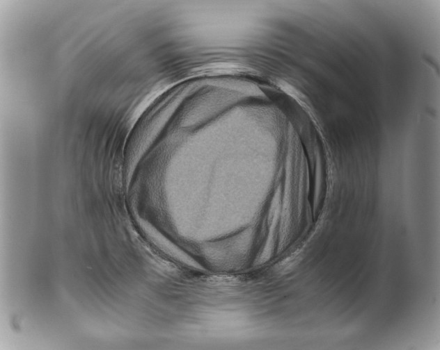 X0000099571473200806131245