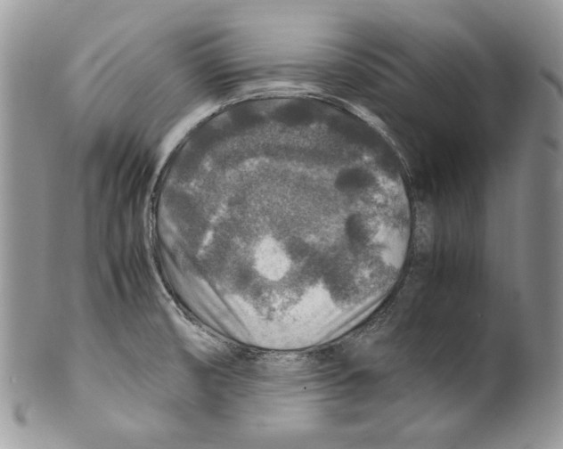 X0000099571474200806131245