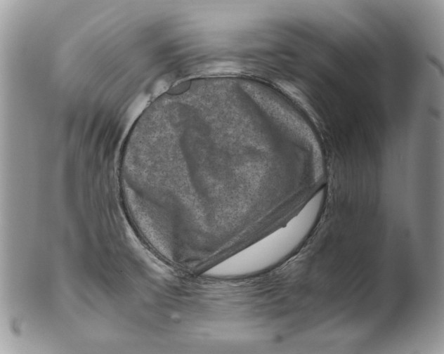 X0000099571475200806131245