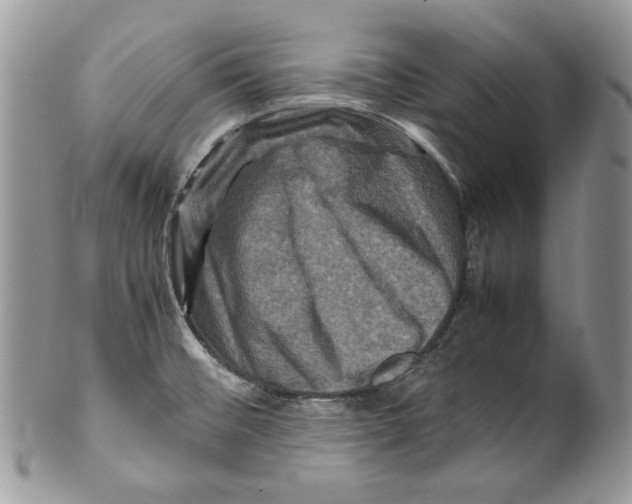X0000099571476200806131245