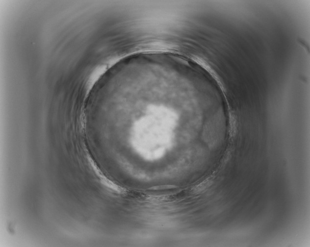 X0000099571477200806131245