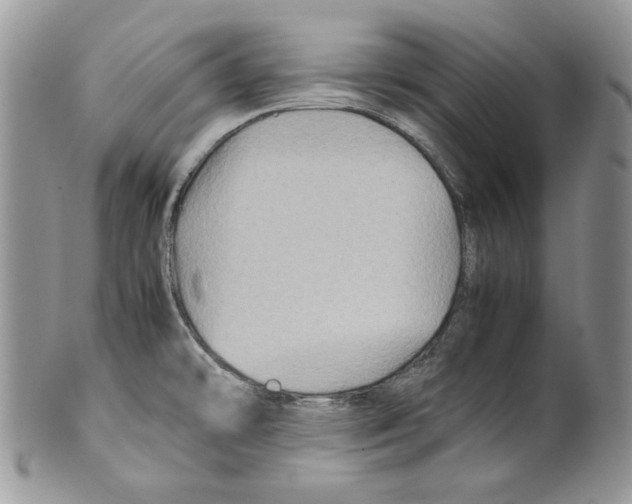 X0000099571478200806131245