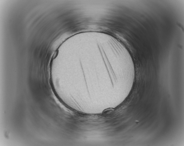 X0000099571479200806131245