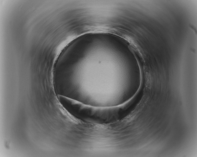 X0000099571480200806131245