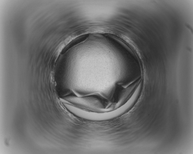 X0000099571481200806131245