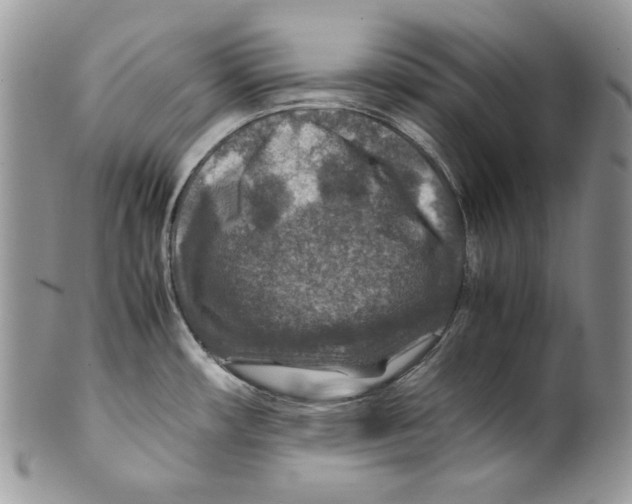 X0000099571482200806131245