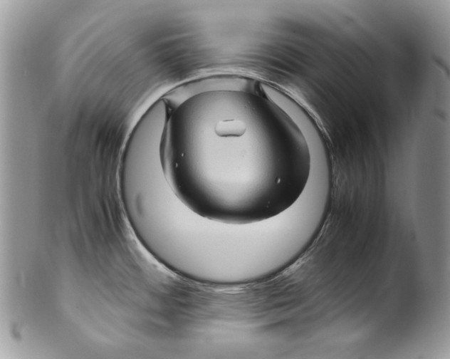 X0000099571484200806131245