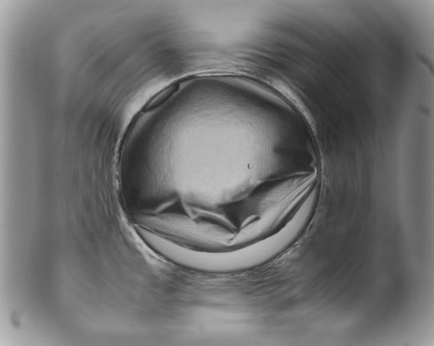 X0000099571485200806131245