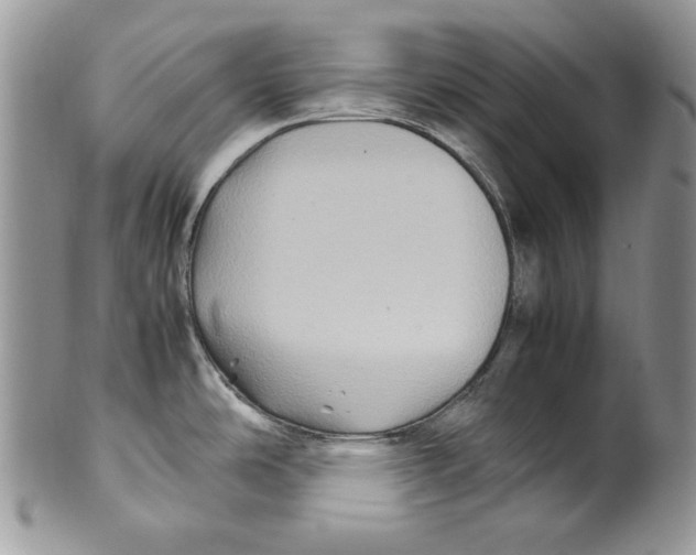 X0000099571486200806131245
