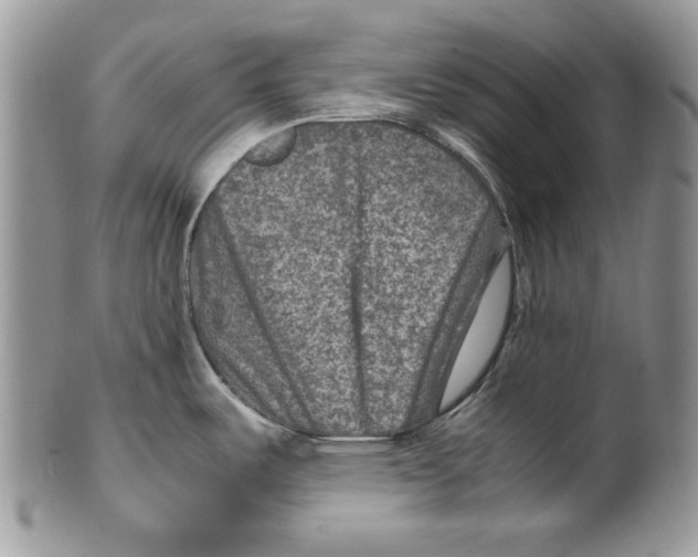 X0000099571487200806131245