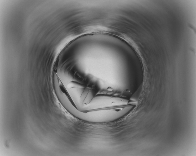 X0000099571488200806131245