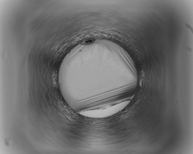 X0000099571490200806131244