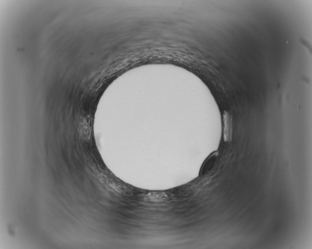 X0000099571491200806131245