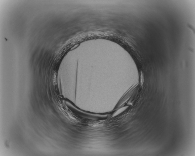 X0000099571492200806131245