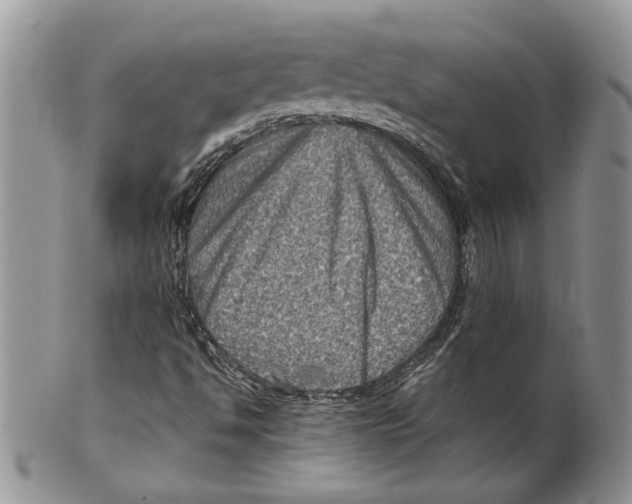X0000099571494200806131245