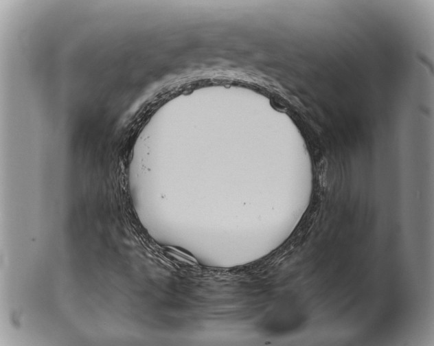 X0000099571495200806131245