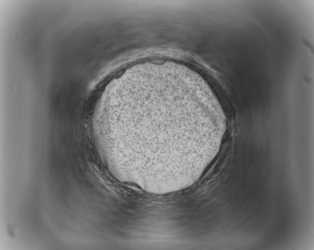 X0000099571496200806131245