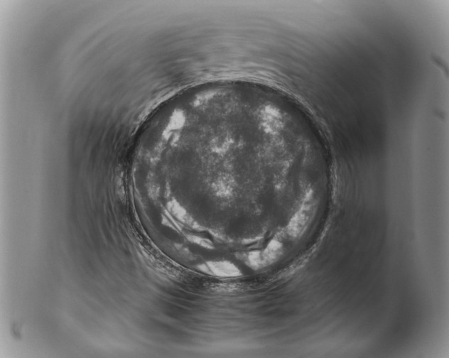 X0000099571497200806131245