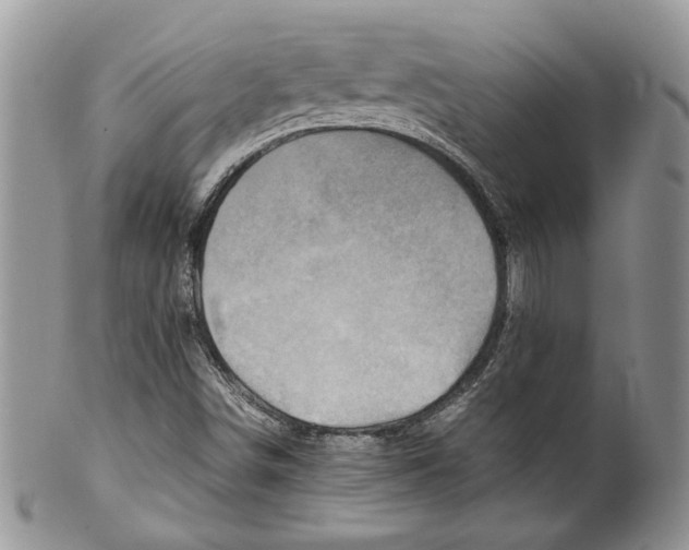 X0000099571498200806131245