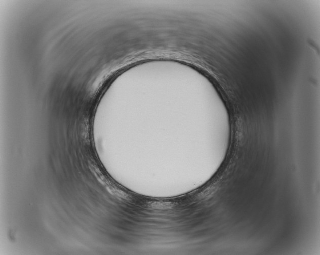 X0000099571499200806131245