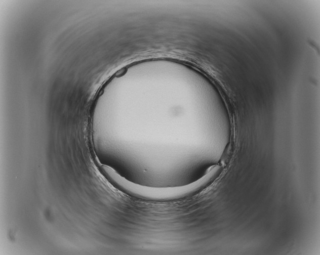 X0000099571500200806131245