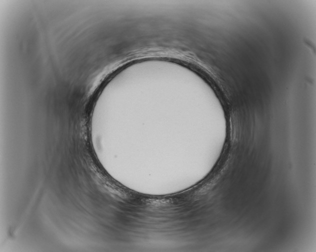 X0000099571501200806131245