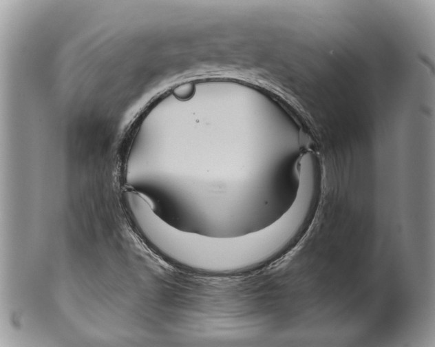 X0000099571502200806131245