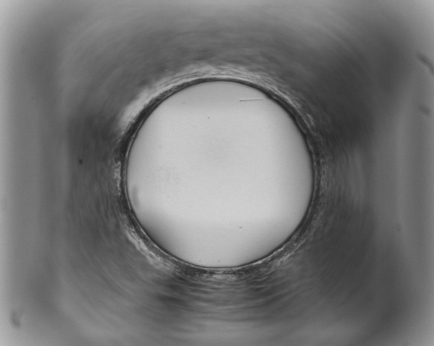 X0000099571503200806131245