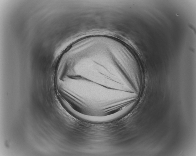 X0000099571504200806131245