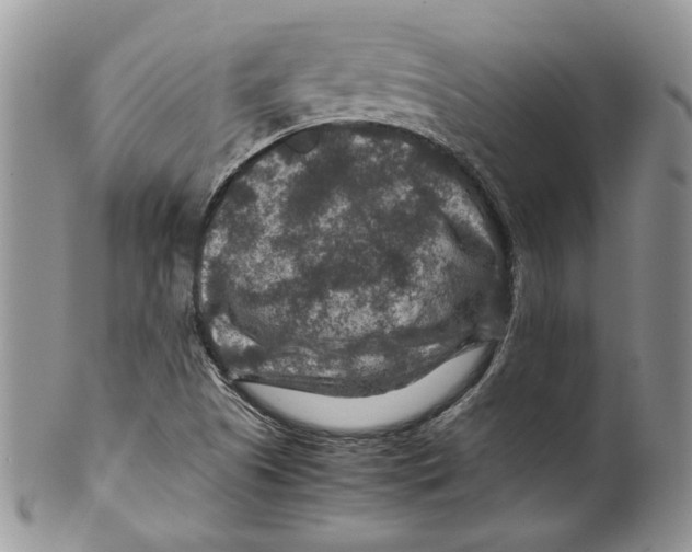 X0000099571505200806131245