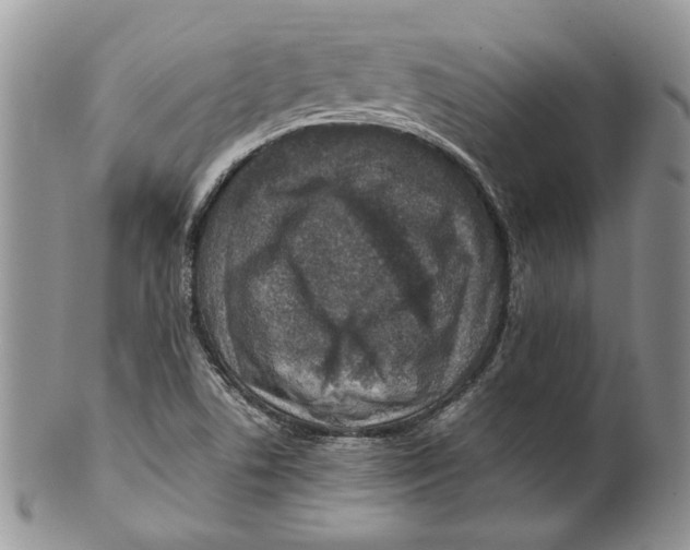 X0000099571506200806131245