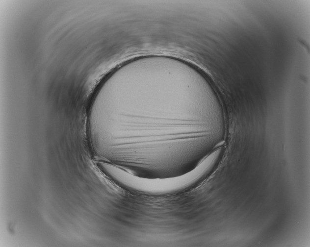 X0000099571507200806131245