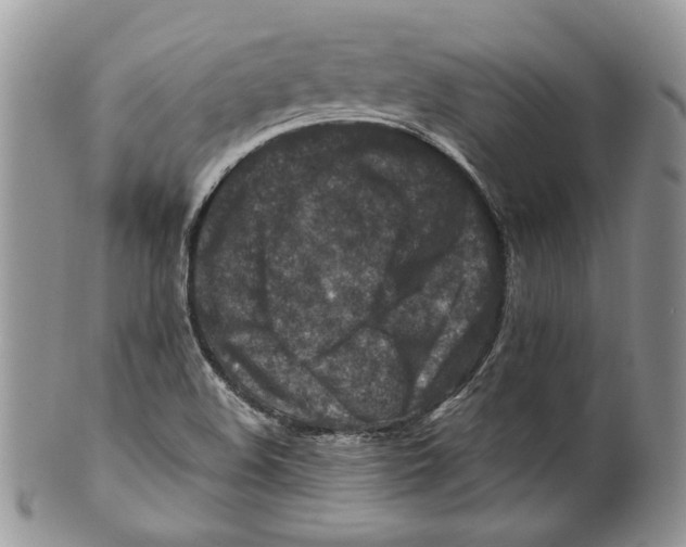 X0000099571508200806131245