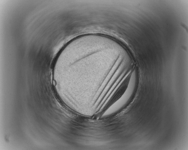 X0000099571509200806131245