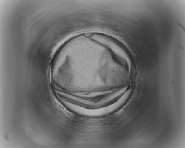 X0000099571510200806131245