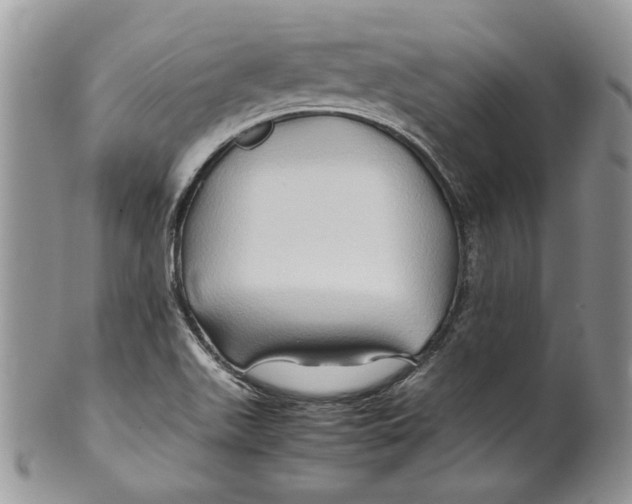 X0000099571511200806131245