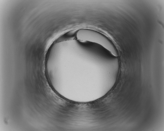 X0000099571512200806131245