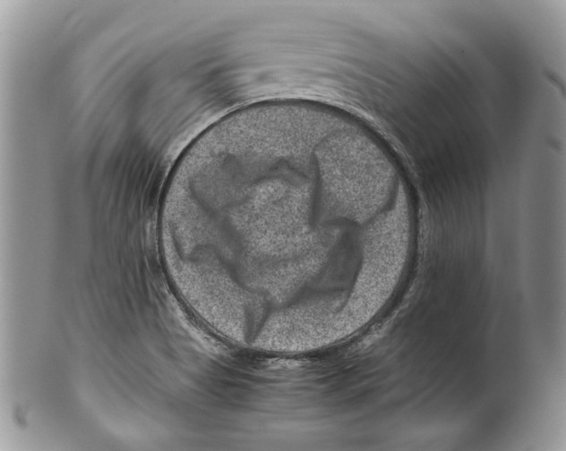 X0000099571513200806131245